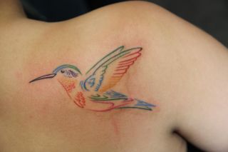 Kleurrijke, illustratieve kolibrie tattoo op de schouder.