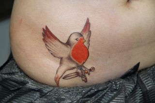Kleurrijke roodborstje tattoo met een dolk in zijn klauwen op de buik.