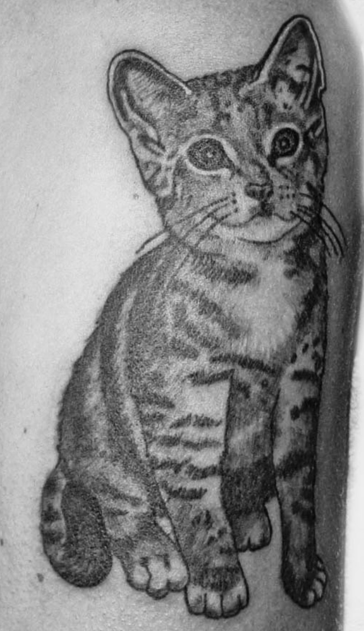 Zwart-wit tattoo van een zittende cyperse kitten.