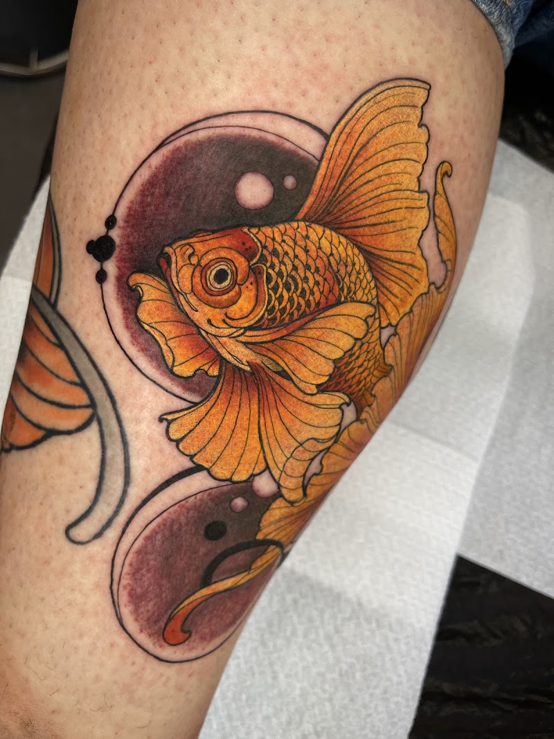 Neo-traditionele goudvis tattoo met cirkels op onderbeen.