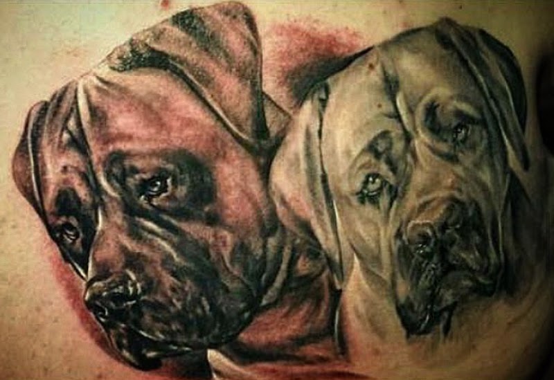 Realistische tattoo van twee hondenkoppen, een donkere en een lichte.