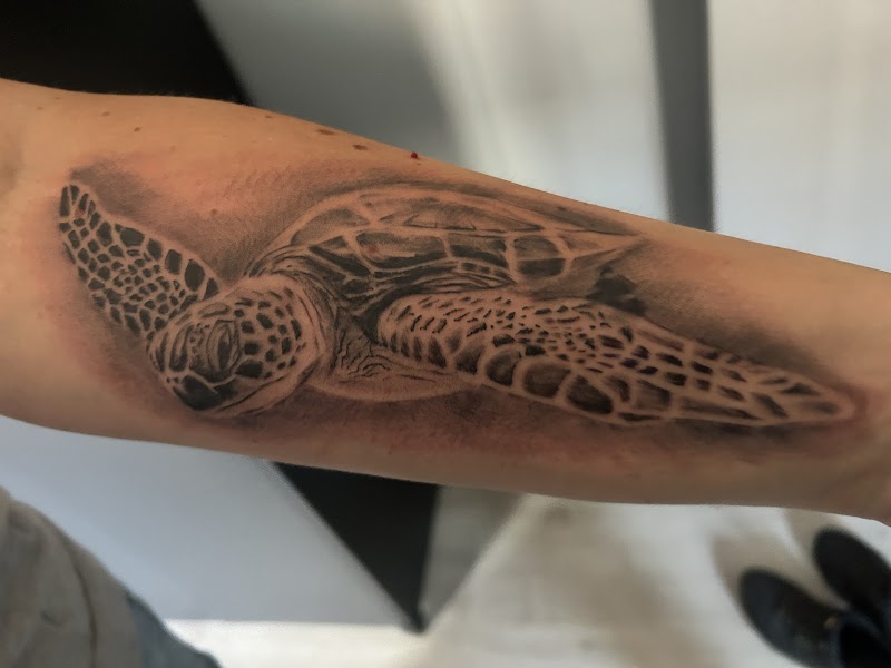 Realistische zwart-wit zeeschildpad tattoo op onderarm.