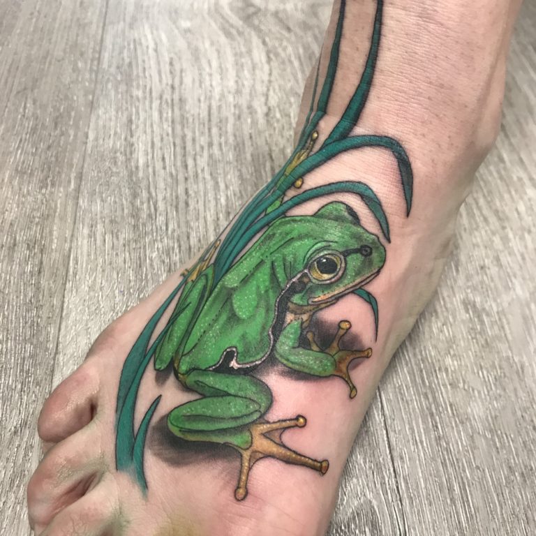 Realistische groene boomkikker met gras op voet.