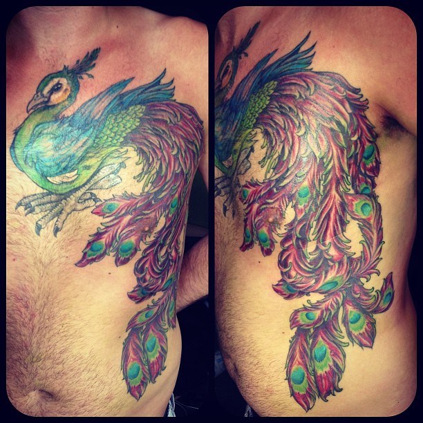 Kleurrijke pauw tattoo op borst en ribben.