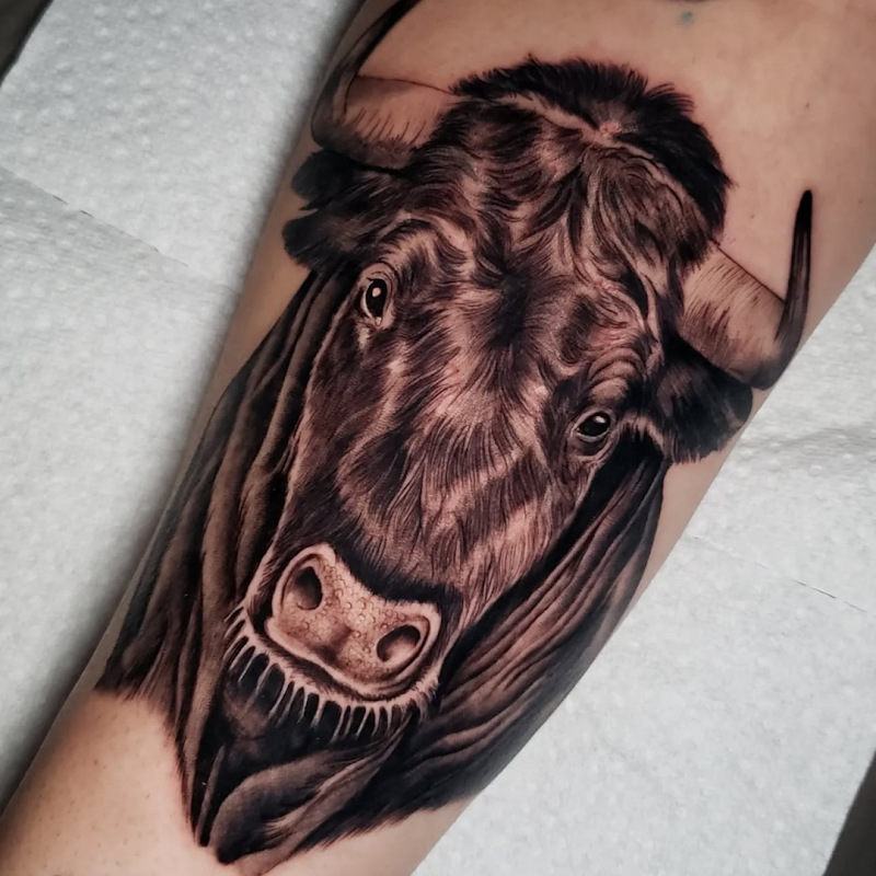 Realistische gnoe kop tattoo op onderbeen.