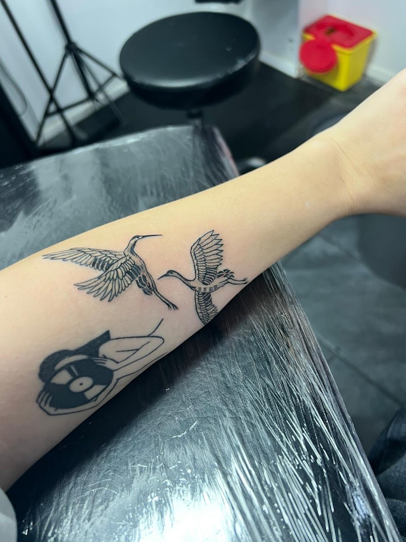 Drie fineline tattoos op een onderarm: twee kraanvogels en een figuur met een vinylplaat.