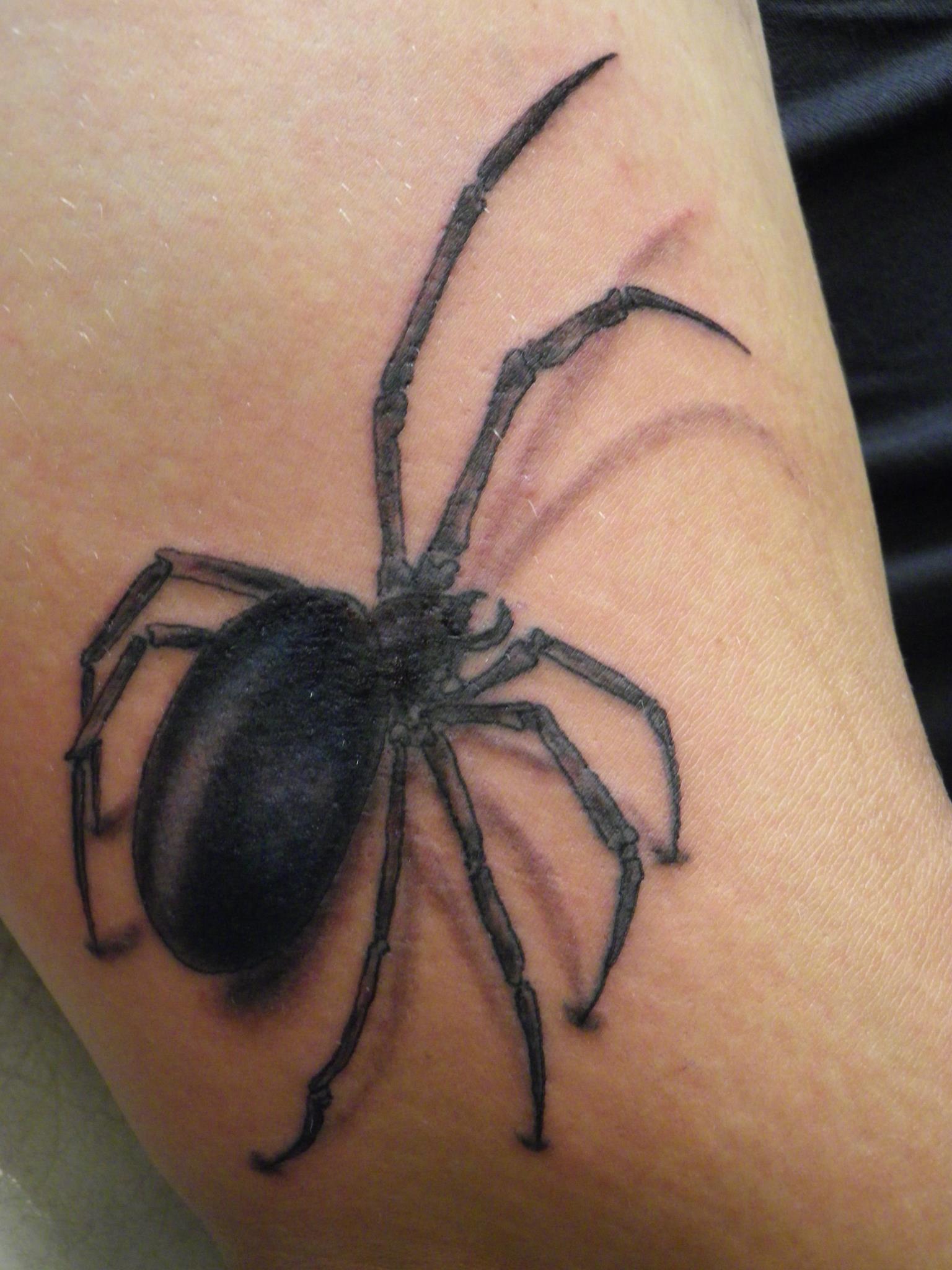 Spider Tattoo