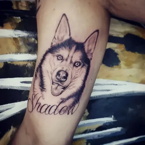 Realistisch portret van een husky met de naam 'Shadow' eronder.