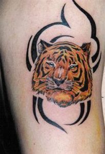 Gekleurde tijgerkop omlijst door zwarte tribal lijnen op de bovenarm.