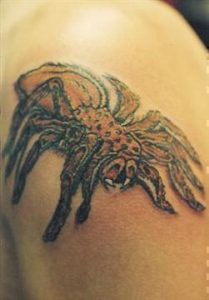 Realistische tarantula spin tattoo op de schouder.