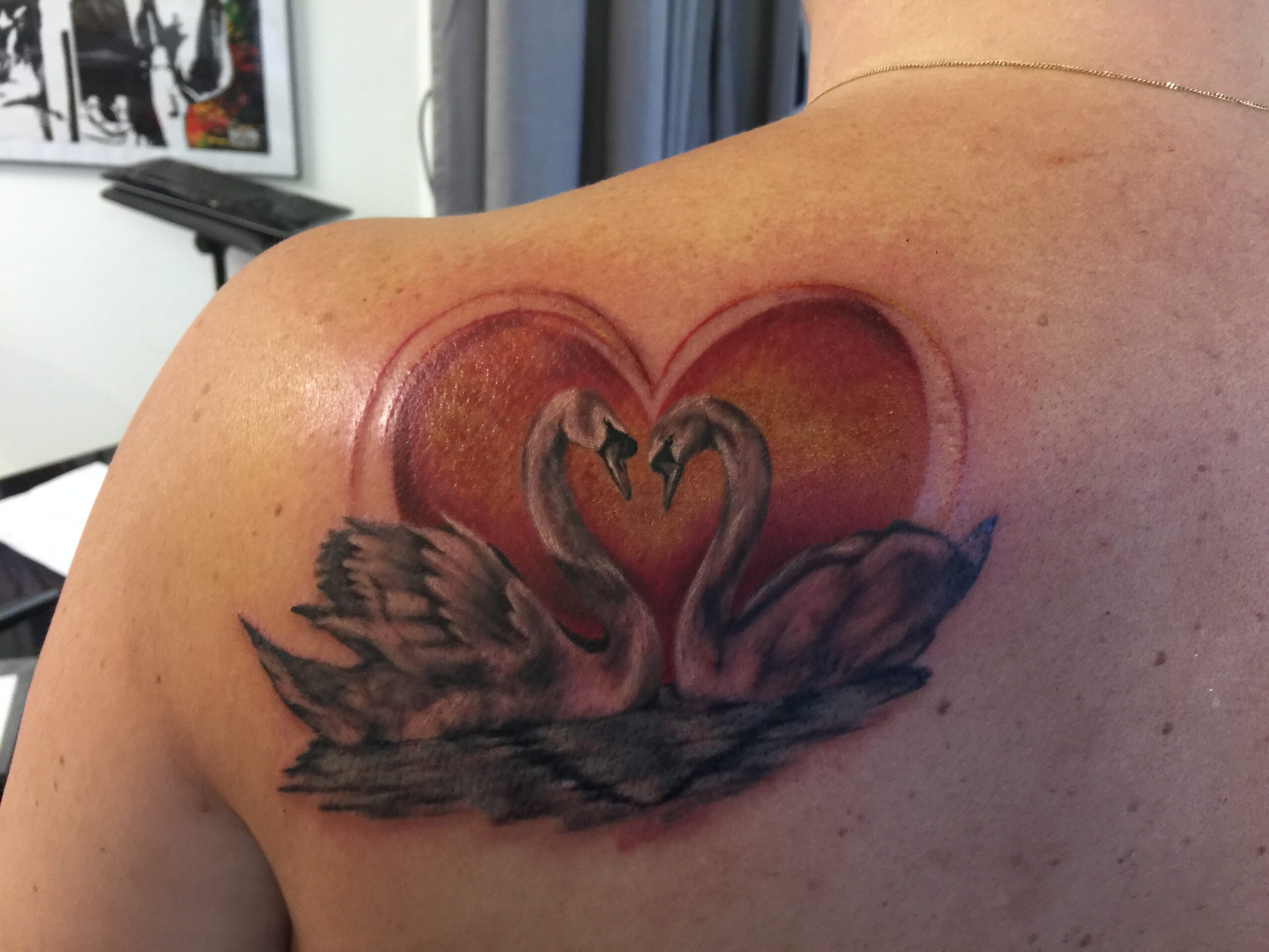 Twee zwanen vormen een hart voor een rode achtergrond op de schouder.