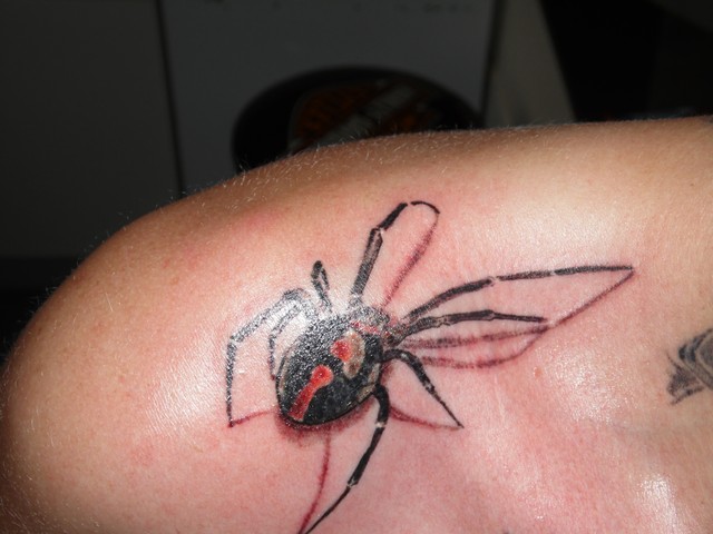 Realistische zwarte weduwe spin met rode zandloper en 3D-schaduw op schouder.