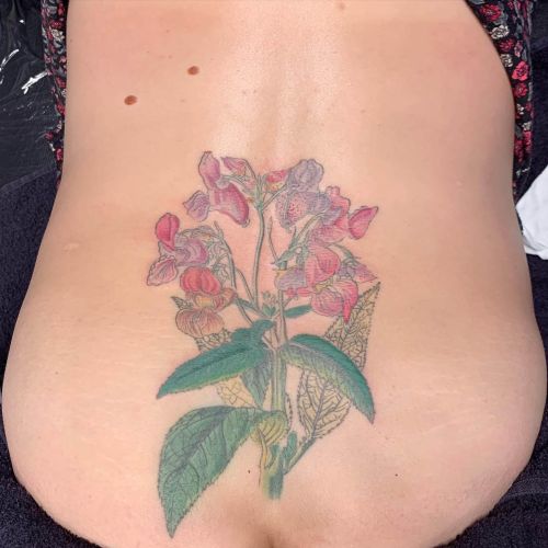Botanische tattoo van een bloeiende plant op de onderrug.