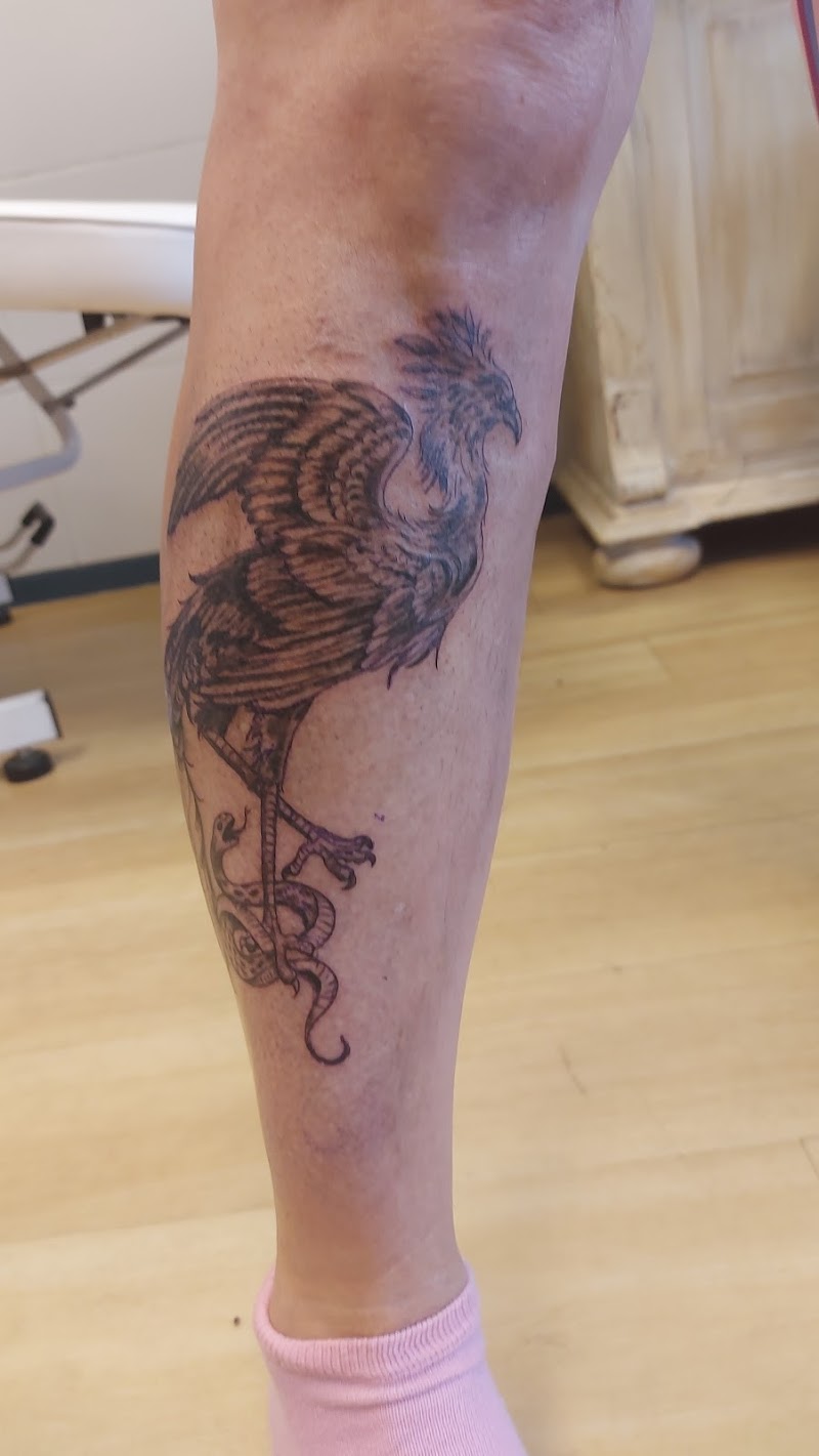 Blackwork tattoo van een secretarisvogel die op een slang staat op het onderbeen.