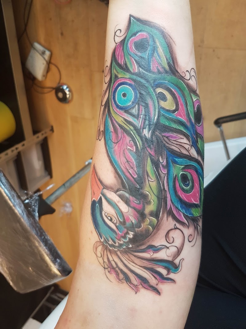 Kleurrijke pauw tattoo op onderarm in neo-traditional stijl.