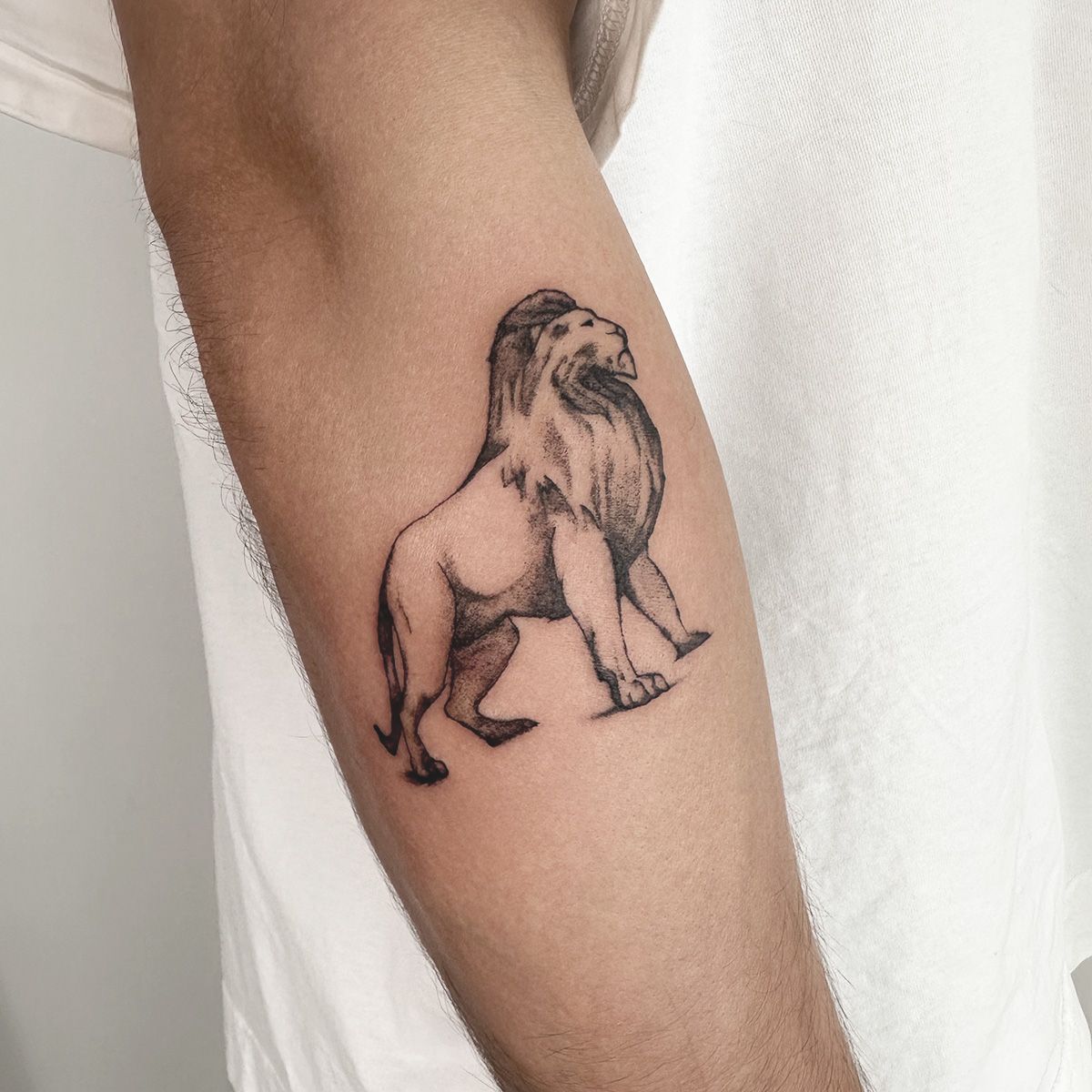 Gedetailleerde leeuw tattoo in blackwork stijl op de bovenarm.