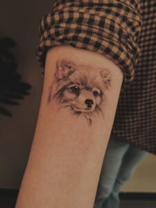 Realistisch portret van een Pomeranian hondje op de onderarm.
