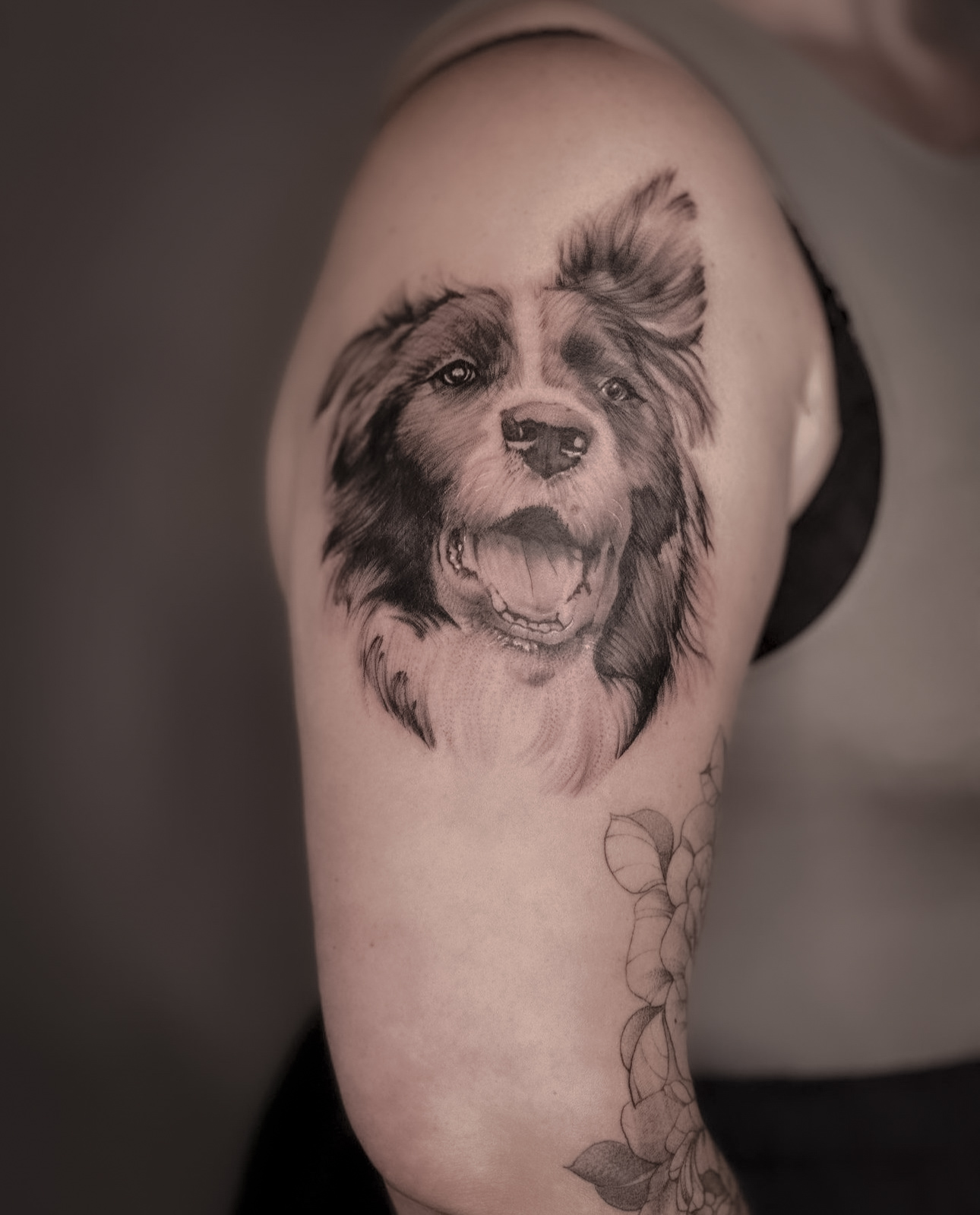 Realistisch portret van een blije Border Collie op de bovenarm.