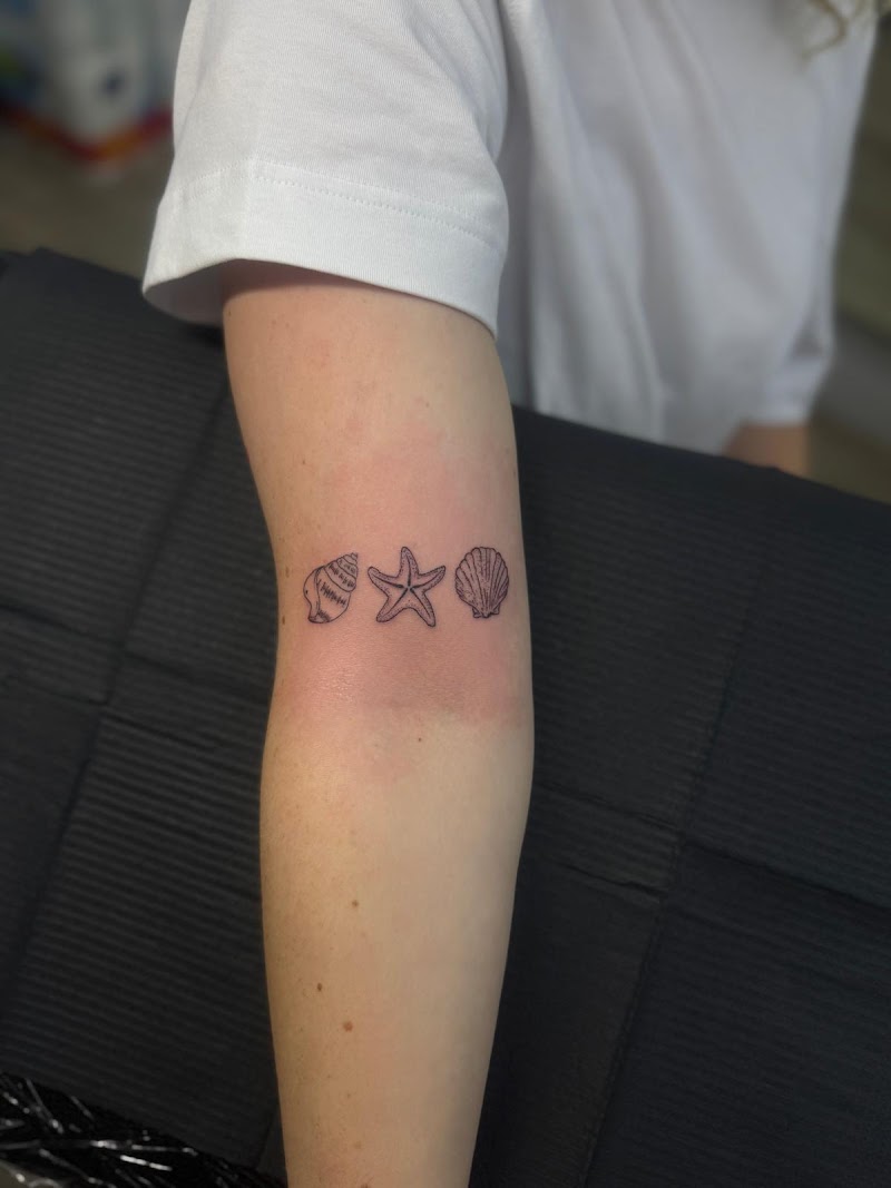 Drie kleine fineline tattoos van schelpen en een zeester op de bovenarm.