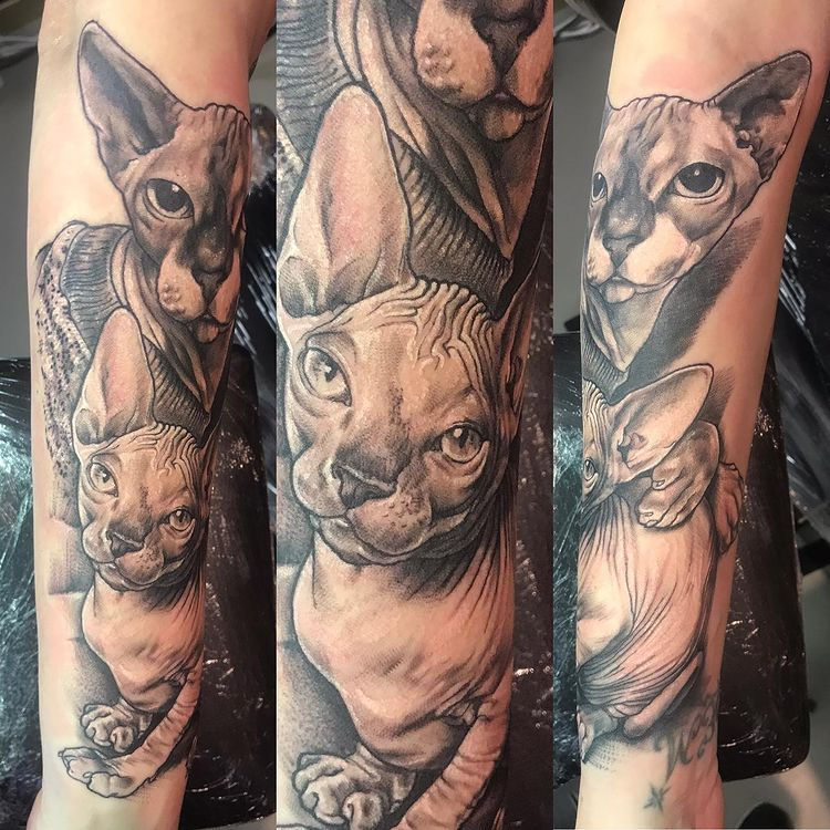 Realistische zwart-wit tattoo van twee Sphynx katten op een onderarm.