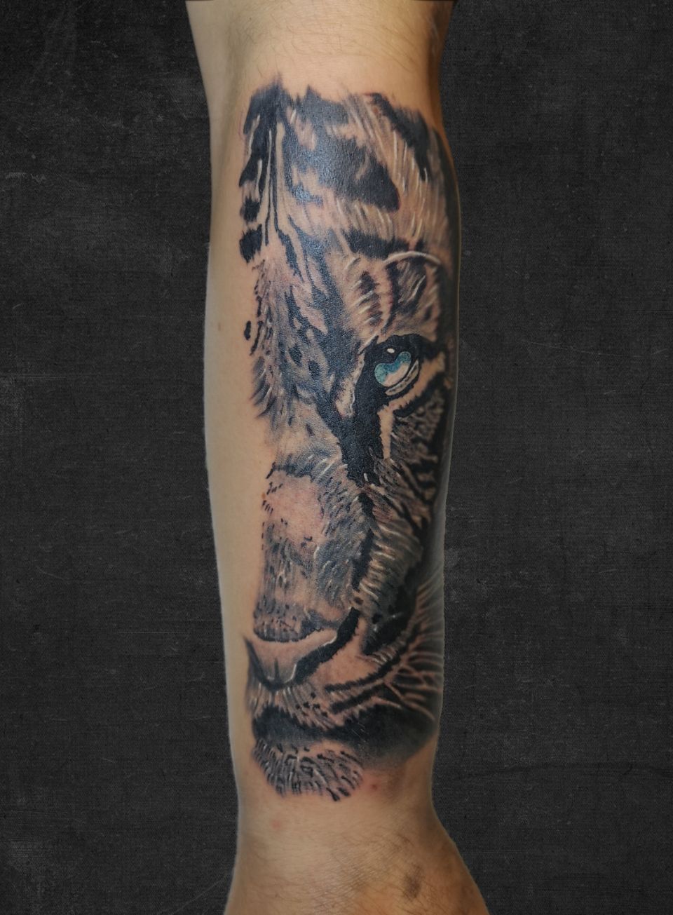 Realistische tijgerkop met blauw oog op onderarm.