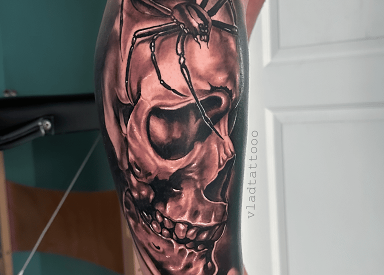 Realistische schedel met een spin op het onderbeen.