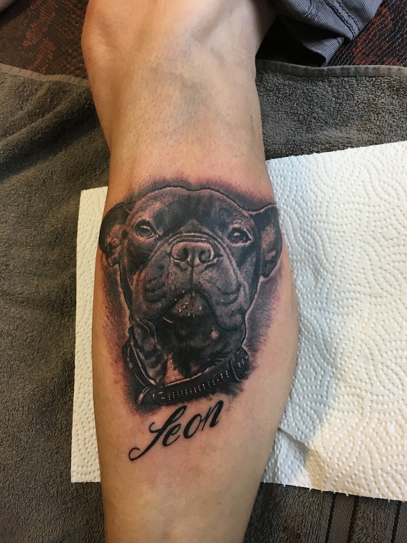 Realistisch portret van een Stafford hond met de naam 'Leon' eronder.