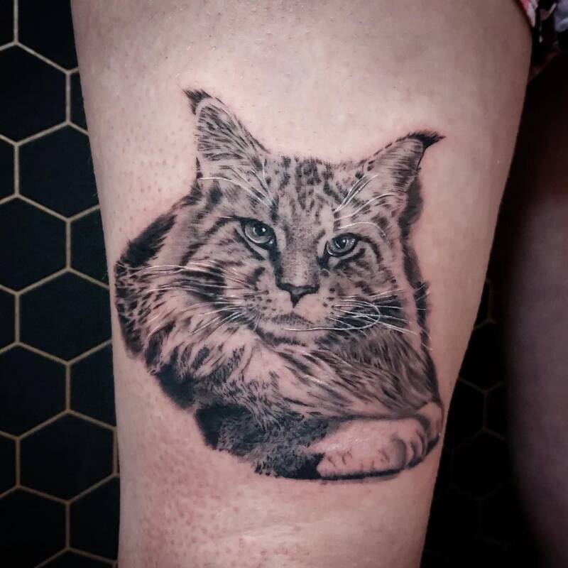 Realistische zwart-wit tattoo van een Maine Coon kat op het bovenbeen.