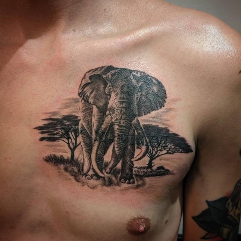 Realistische olifant in savanne landschap op borst.