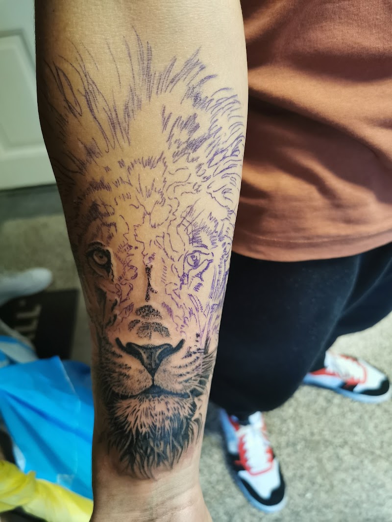 Onvoltooide leeuwenkop tattoo, deels geschaduwd, deels stencil op onderarm.