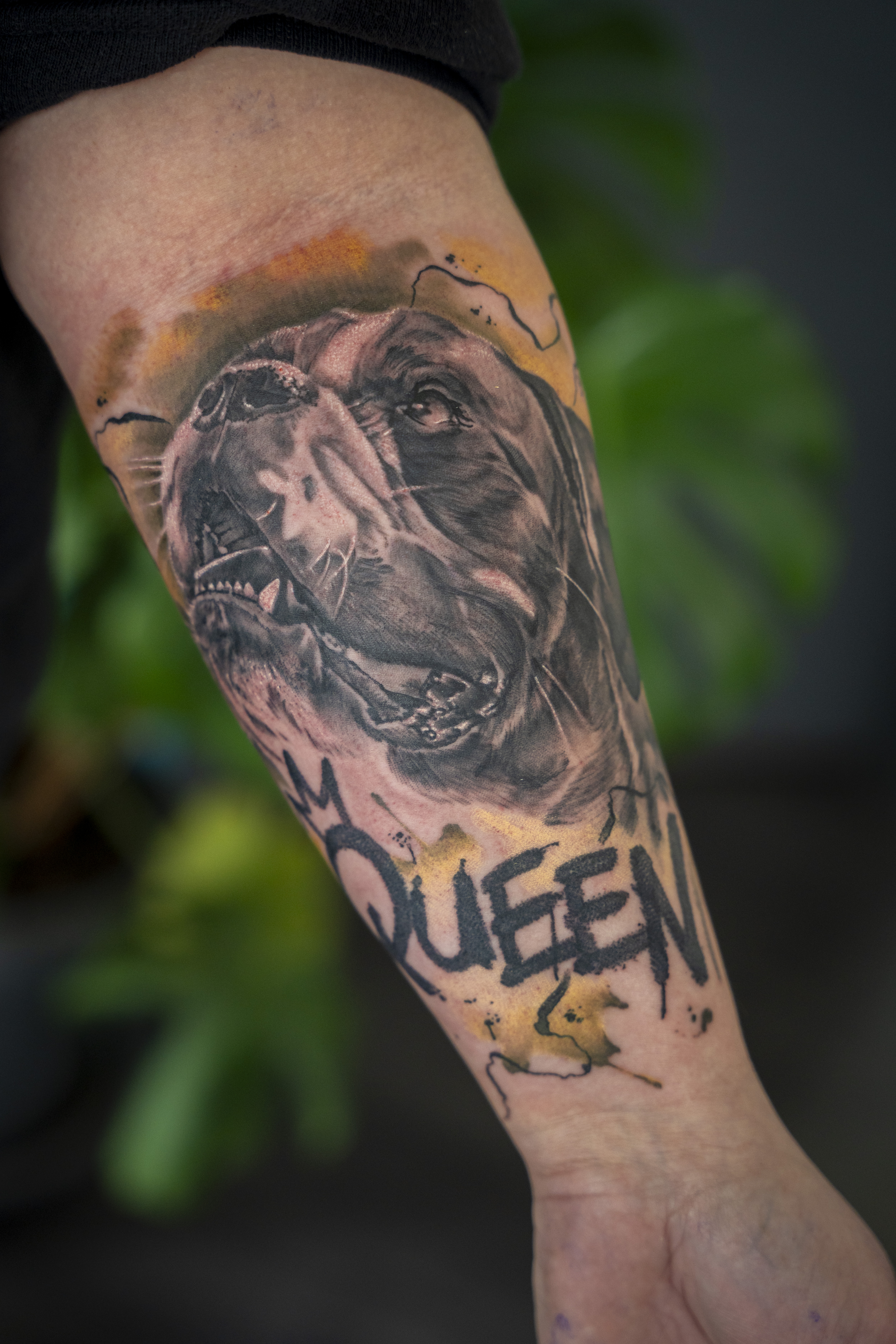 Realistisch hondenportret met 'QUEEN' tekst en gele watercolor op onderarm.