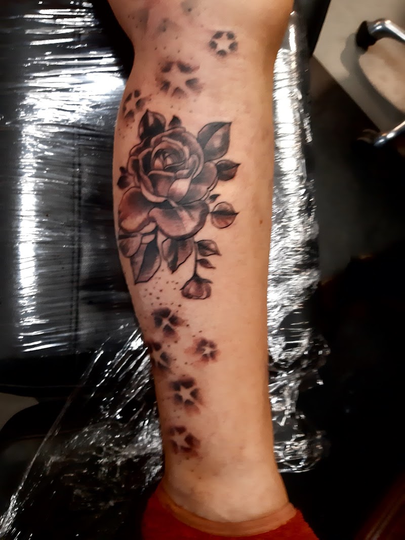 Zwart-wit roos met hondenpootjes op onderbeen.