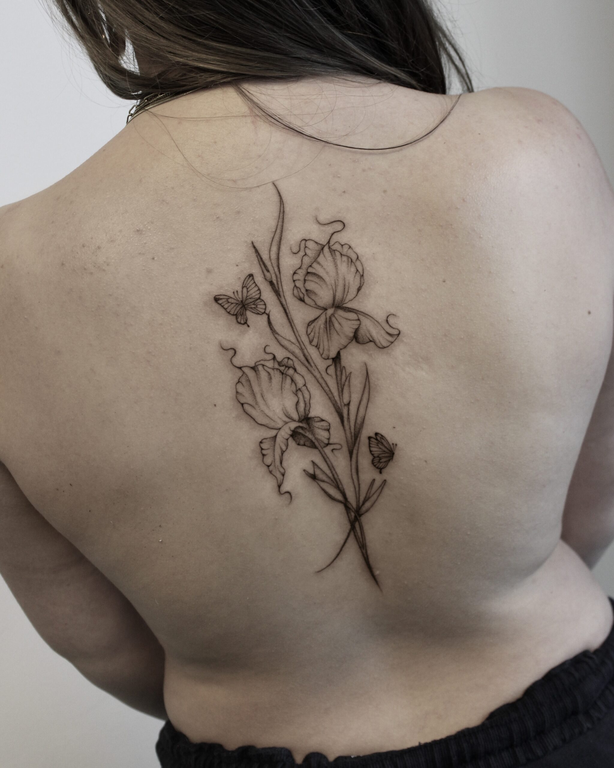 Fineline iris bloemen en vlinders op de rug.