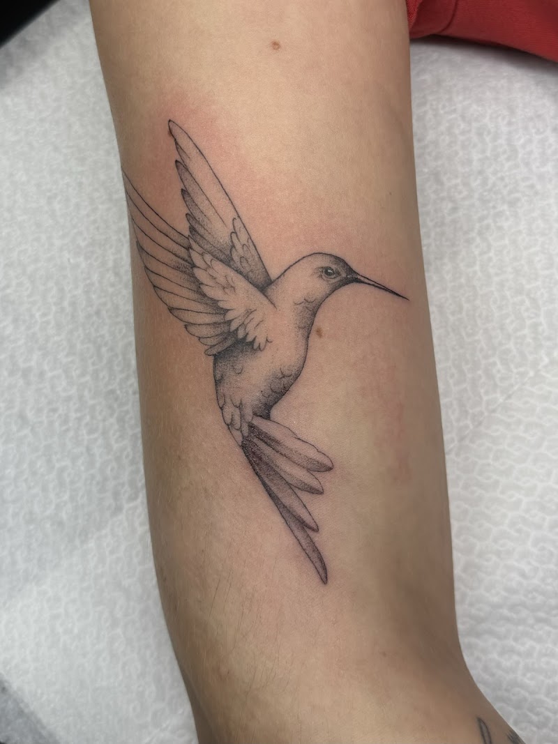 Fijne zwart-grijze kolibrie tattoo op de bovenarm.