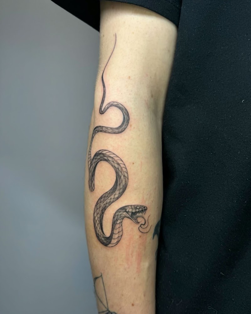 Gedetailleerde blackwork slang tattoo op de achterkant van de bovenarm.