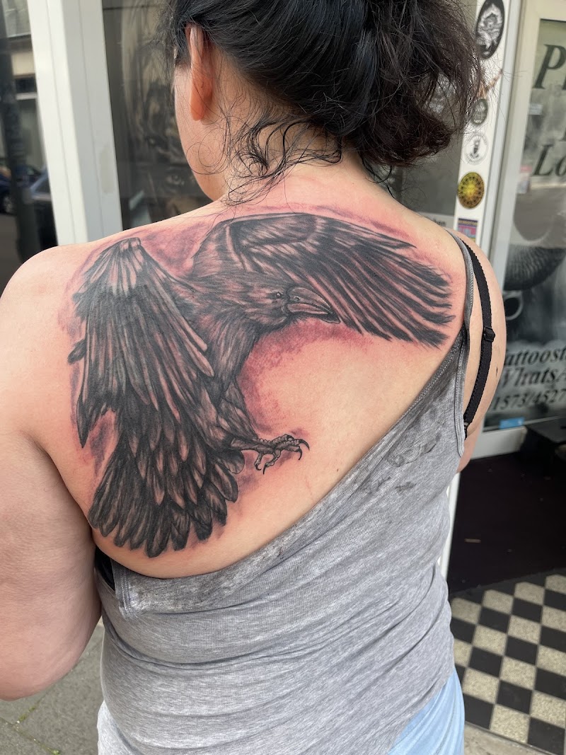 Grote zwart-grijze raaf tattoo op de bovenrug.