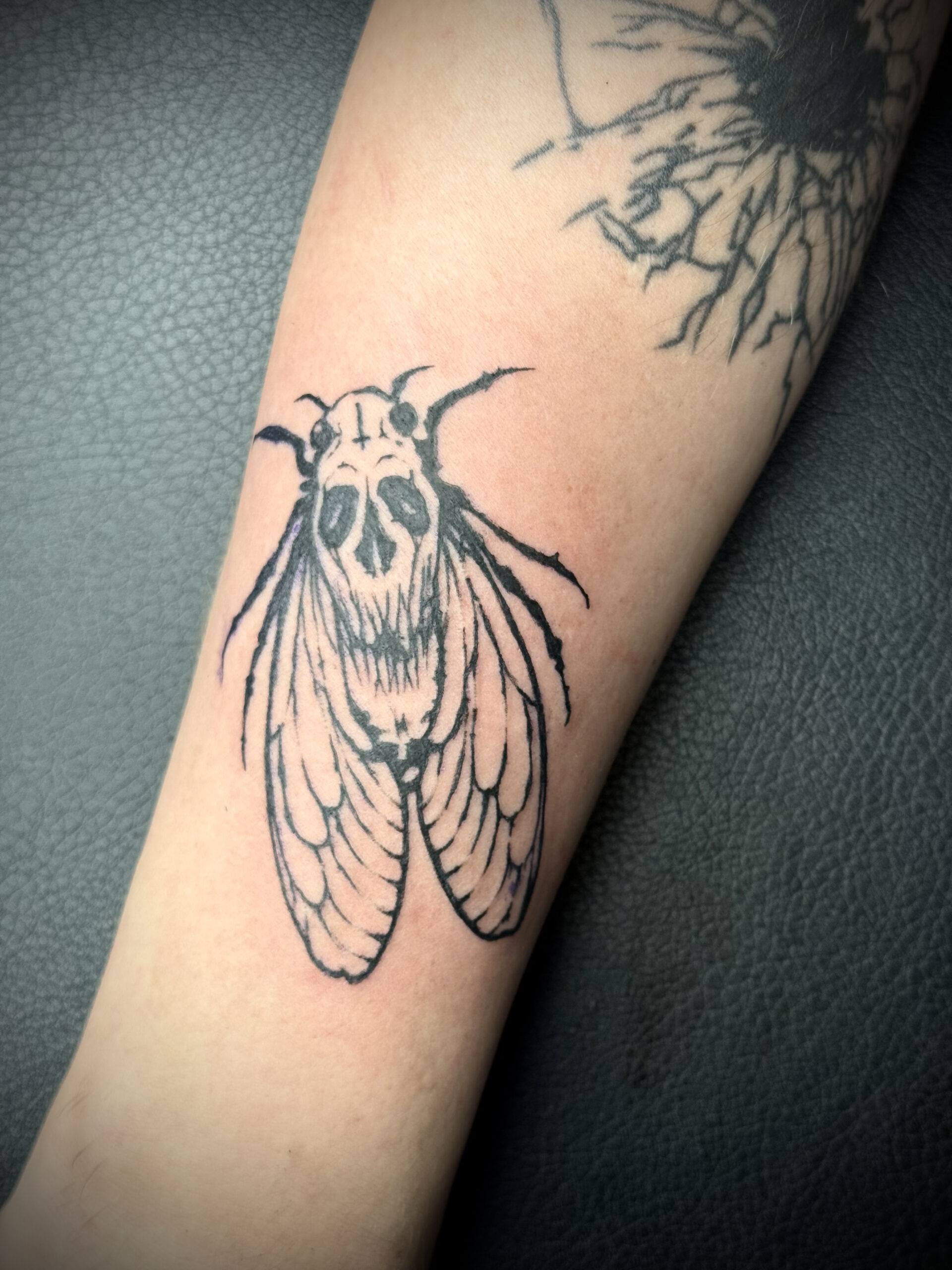 Blackwork cicade met schedel op de rug op een onderarm.