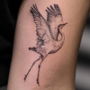 Fineline tattoo van een vliegende kraanvogel op de bovenarm.