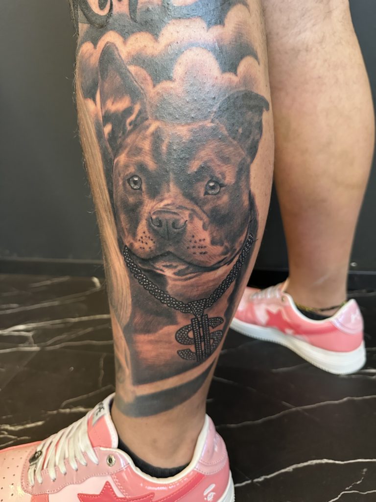 Realistisch portret van een pitbull met een dollarteken ketting.