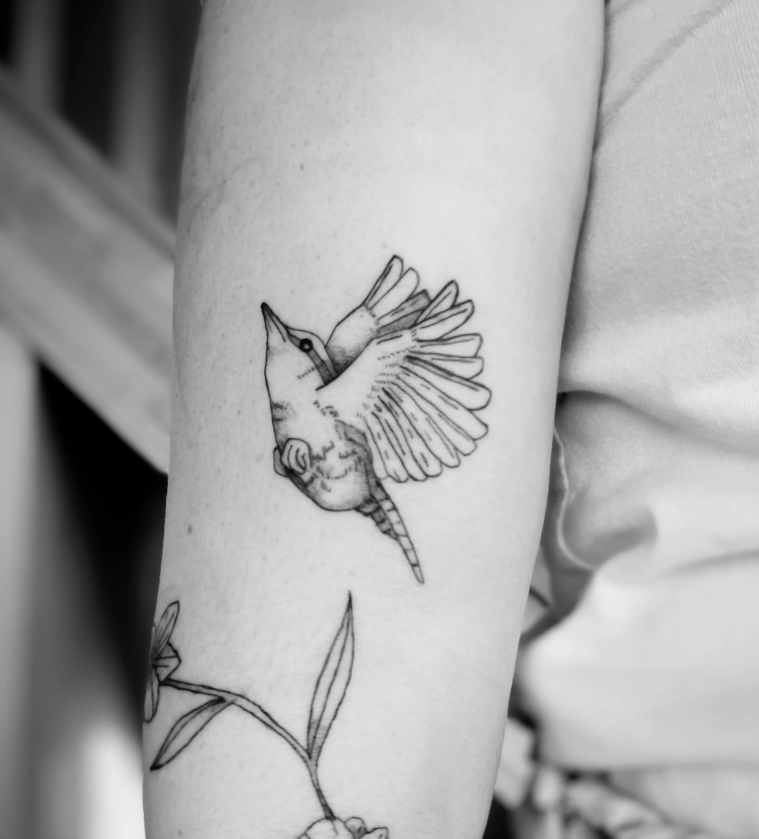 Fineline tattoo van een vliegende vogel op de bovenarm.