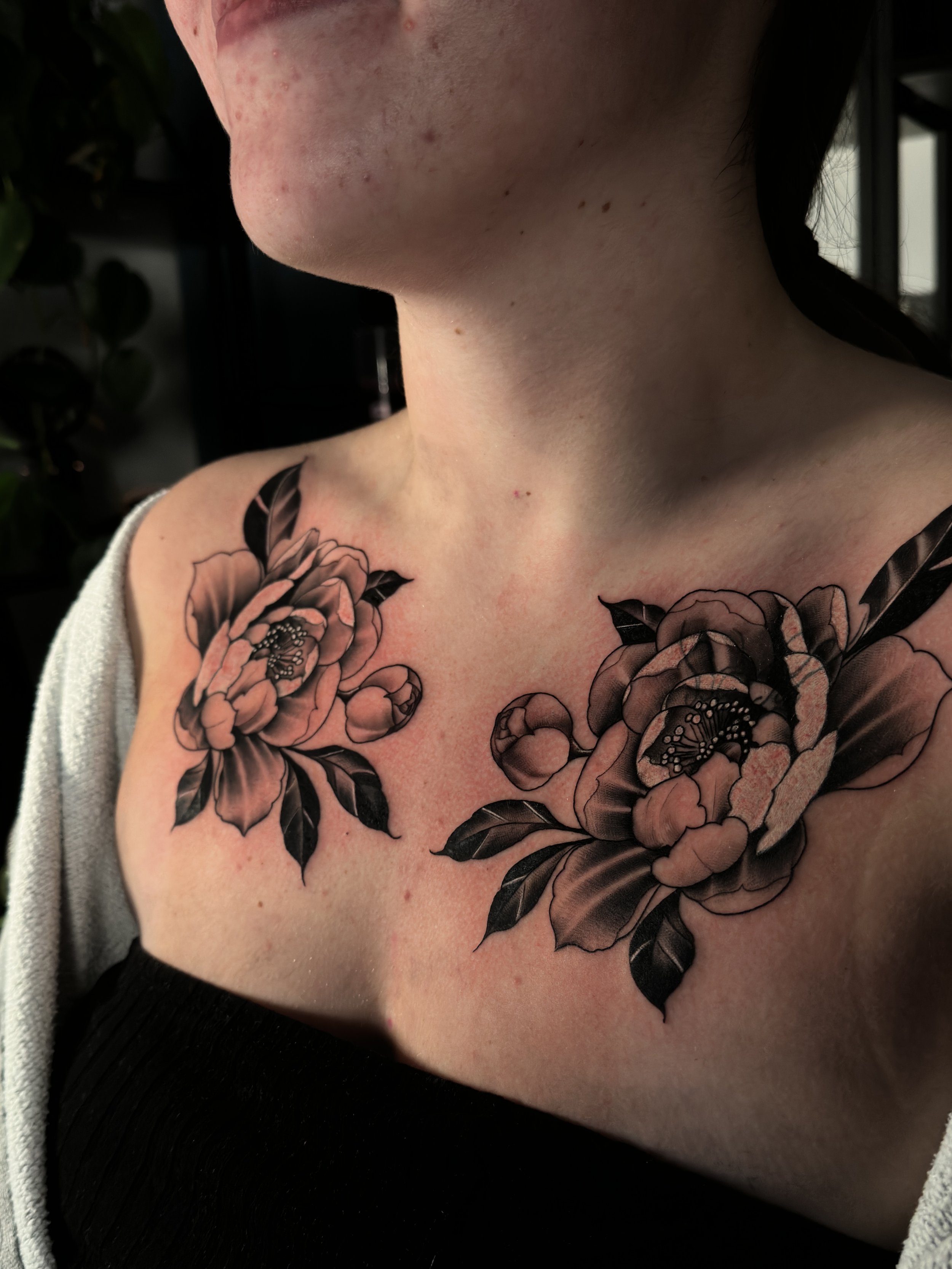 Twee grote zwart-wit pioenrozen met bladeren op de borst.