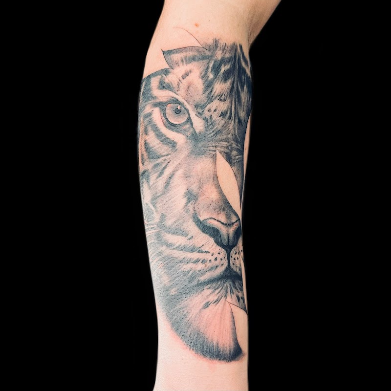 Realistische tijgerkop tattoo op de onderarm, uitgevoerd in black & grey.