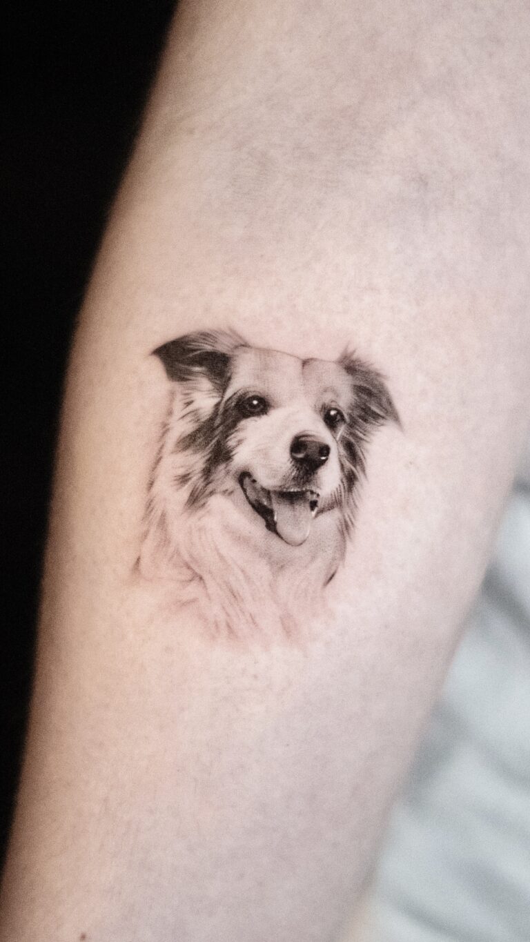 Realistisch portret van een Border Collie hond op de arm.