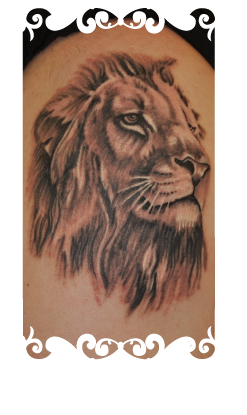 Realistisch zwart-wit portret van een leeuwenkop op de bovenarm.