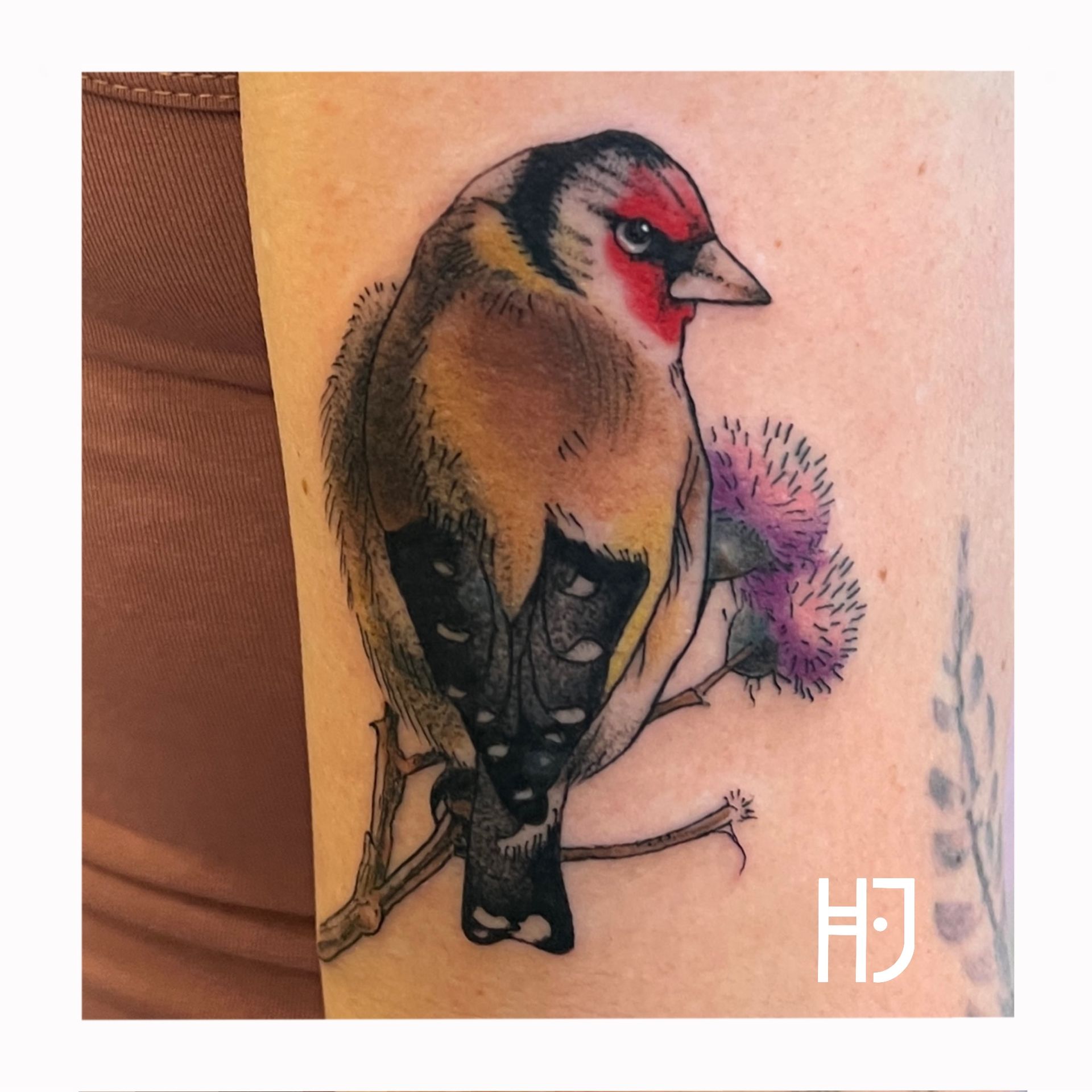 Kleurrijke putter (distelvink) op een tak met een distelbloem.