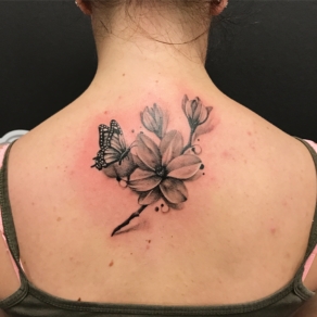 Zwart-wit magnolia bloem met vlinder op de bovenrug.