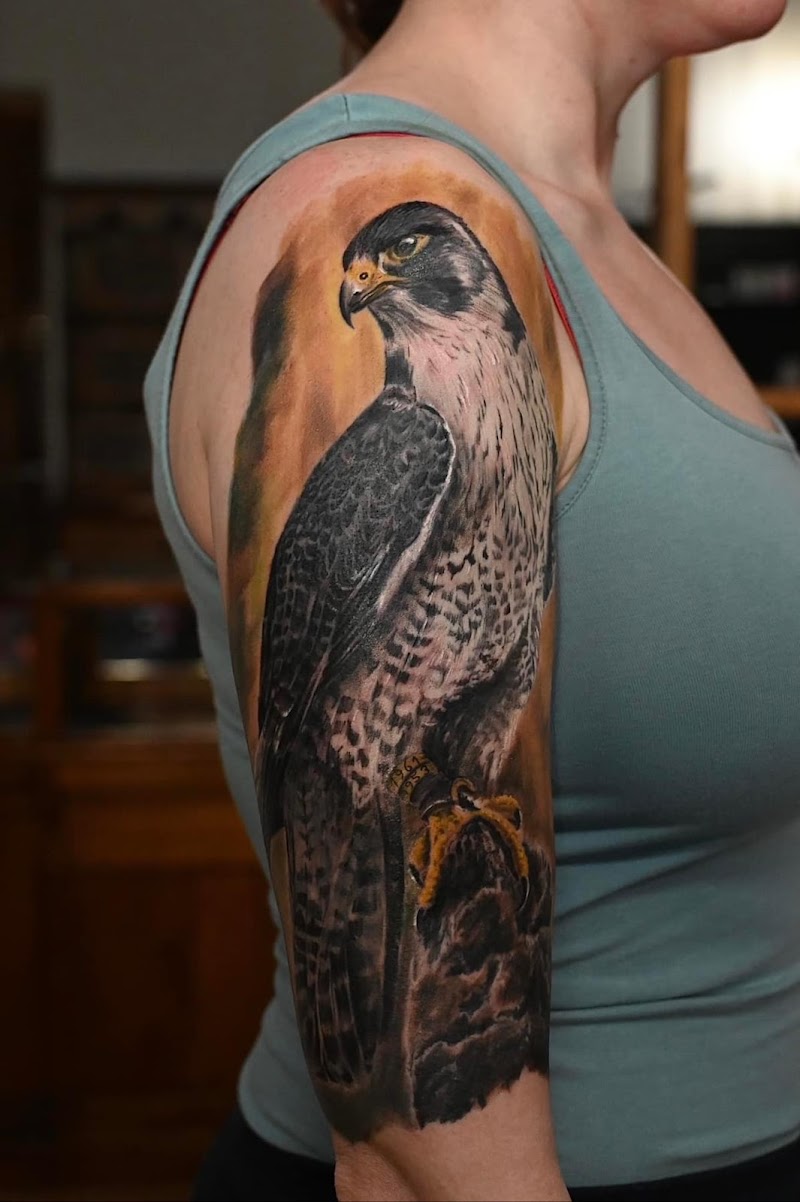 Realistische slechtvalk tattoo op bovenarm met warme achtergrond.