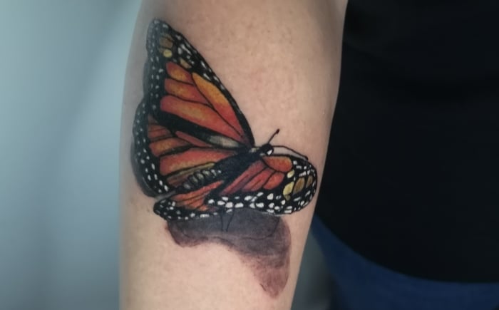 Realistische monarchvlinder met schaduw op de bovenarm.